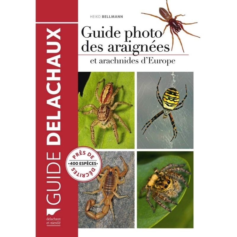 Guide photo des araignées et arachnides d'Europe