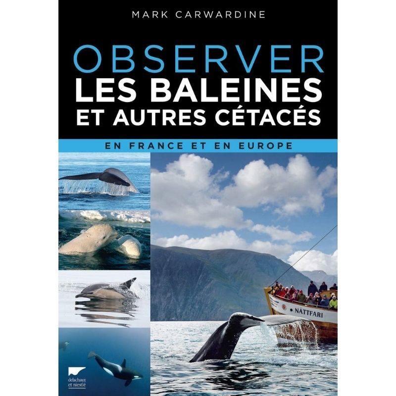 Observer les baleines et autres cétacés - en France et en Europe