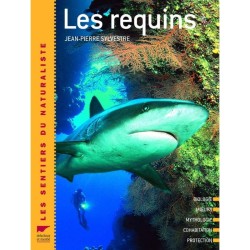 Les requins - biologie, murs, mythologie, cohabitation, protection