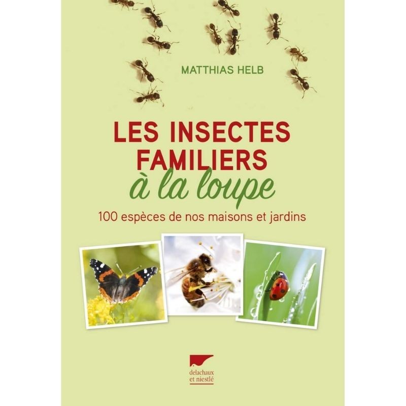 Les insectes familiers à la loupe - 100 espèces de nos maisons et jardins