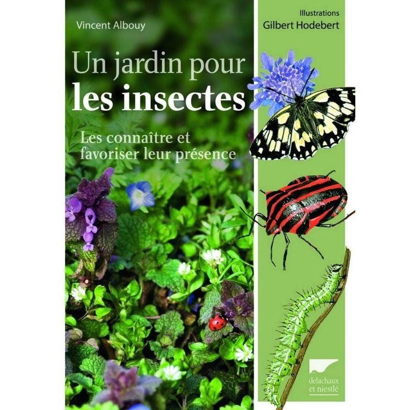 Un jardin pour les insectes - Les connaître et favoriser leur présence