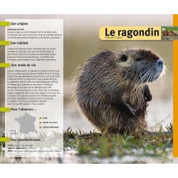 Guide du pisteur débutant - Reconnaître les traces et les empreintes d'animaux sauvages Guide du pisteur débutant - Reconnaître les traces et les empreintes d'animaux sauvages