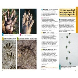 Guide du pisteur débutant - Reconnaître les traces et les empreintes d'animaux sauvages Guide du pisteur débutant - Reconnaître les traces et les empreintes d'animaux sauvages
