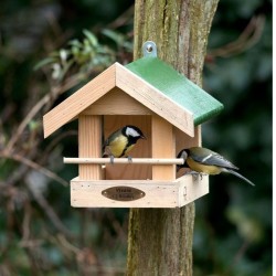 Mangeoire Amazone/Memphis