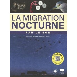 La migration nocturne par le son