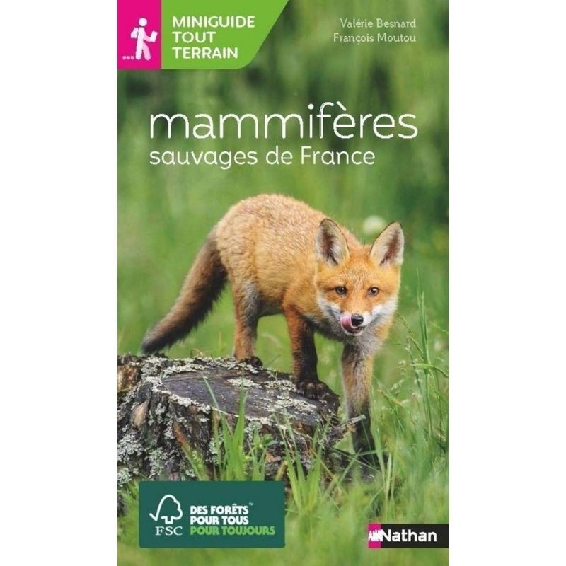 mammifères sauvages de France - Miniguide tout terrain