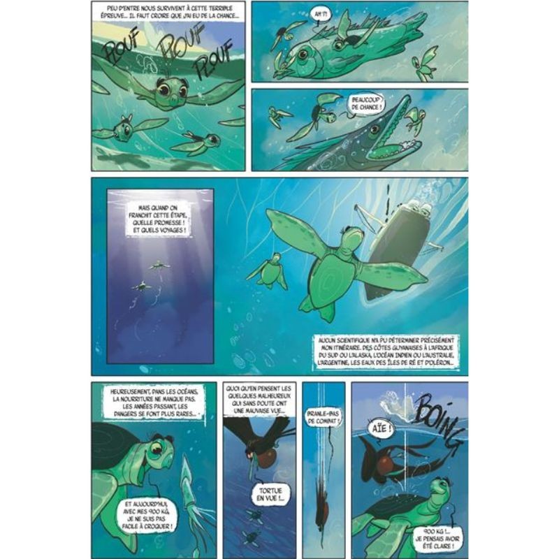 Lettres des animaux à ceux qui les prennent pour des bêtes - La bande dessinée