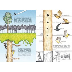 Les martinets se cachent pour dormir Les martinets se cachent pour dormir