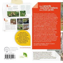 Des canards coureurs indiens dans mon jardin - Stop aux limaces ! Des canards coureurs indiens dans mon jardin - Stop aux limaces !