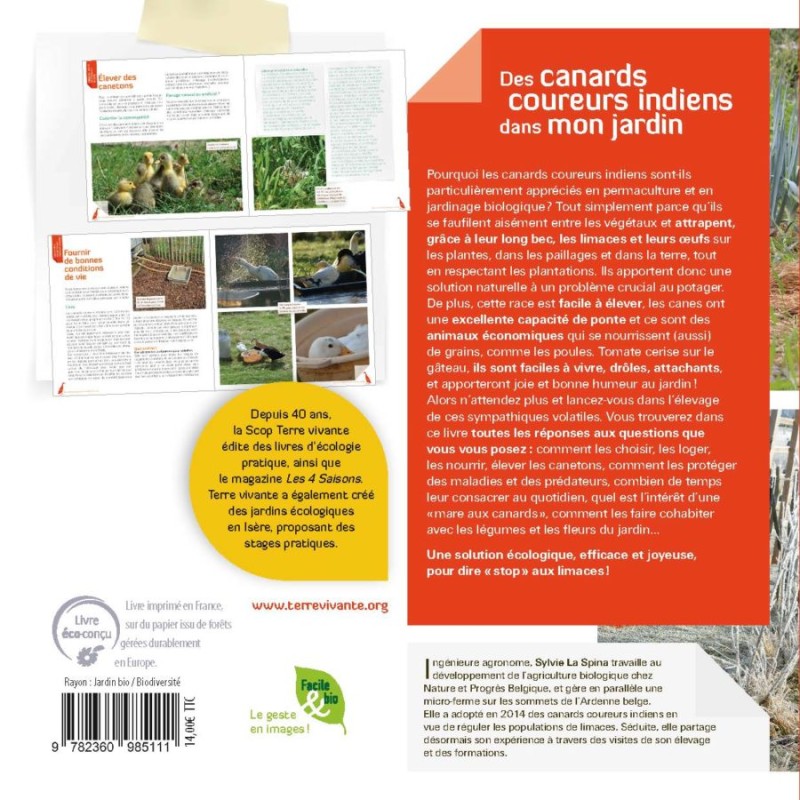 Des canards coureurs indiens dans mon jardin - Stop aux limaces ! Des canards coureurs indiens dans mon jardin - Stop aux limaces !