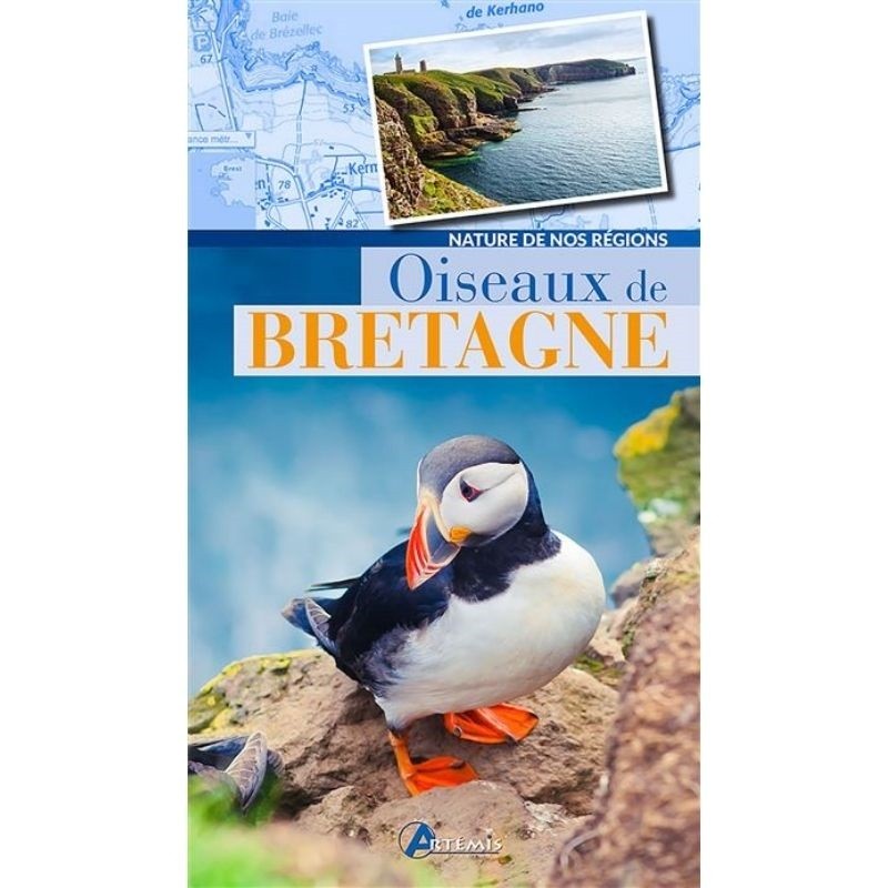 Oiseaux de Bretagne - Nature de nos régions