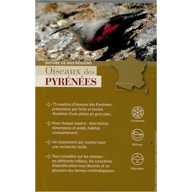 Oiseaux des Pyrénées - Nature de nos régions