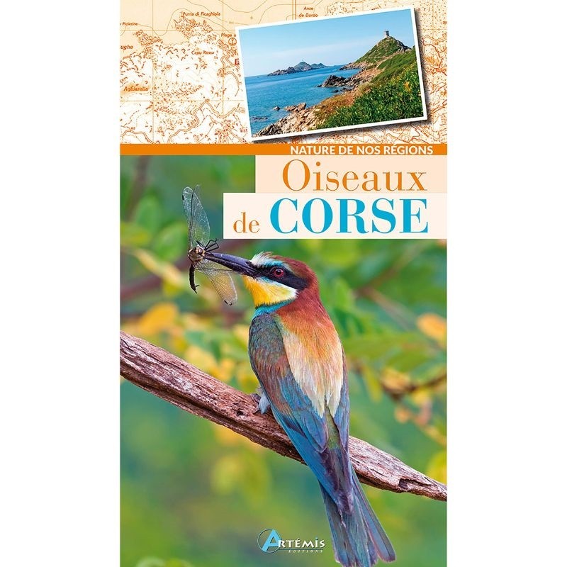 Oiseaux de Corse - Nature de nos régions