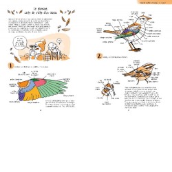 Mais comment s'appelle cet oiseau ? Reconnaître et identifier 50 oiseaux de nos régions Mais comment s'appelle cet oiseau ? Reconnaître et identifier 50 oiseaux de nos régions