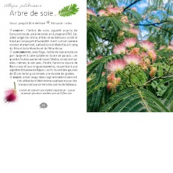Mini-guide des arbres Mini-guide des arbres