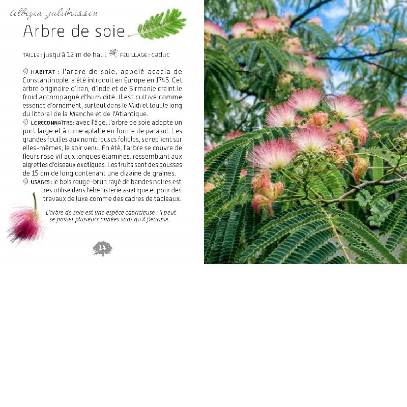 Mini-guide des arbres Mini-guide des arbres