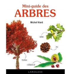 Mini-guide des arbres