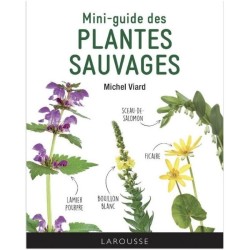 Mini-guide des plantes sauvages
