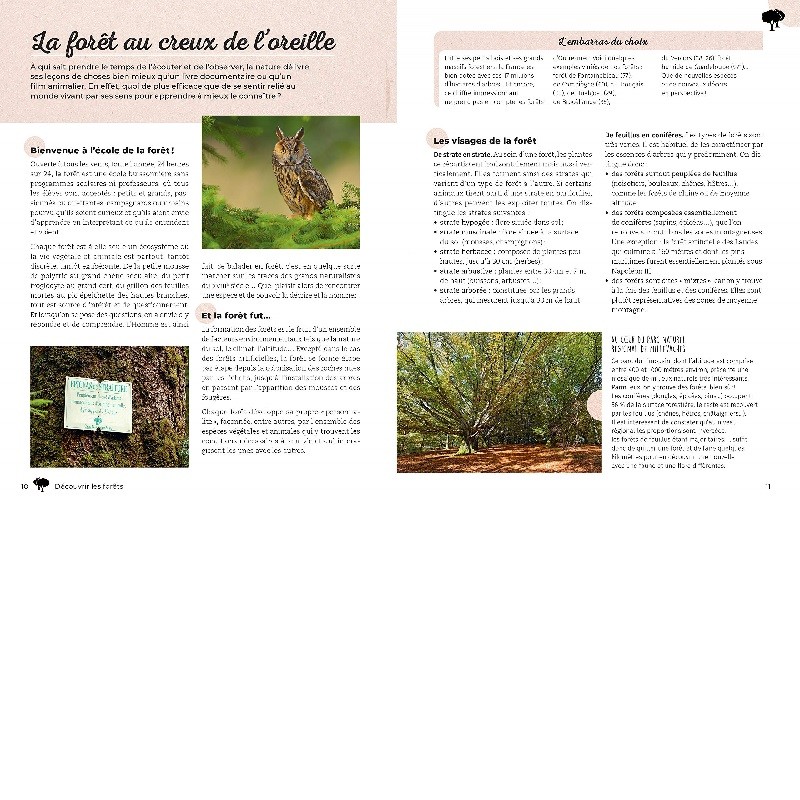 Ecoutons la forêt ! Identifier plus de 60 animaux (oiseaux, grenouilles, mammifères, insectes...)