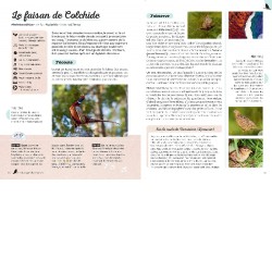 Ecoutons la forêt ! Identifier plus de 60 animaux (oiseaux, grenouilles, mammifères, insectes...) Ecoutons la forêt ! Identifier plus de 60 animaux (oiseaux, grenouilles, mammifères, insectes...)