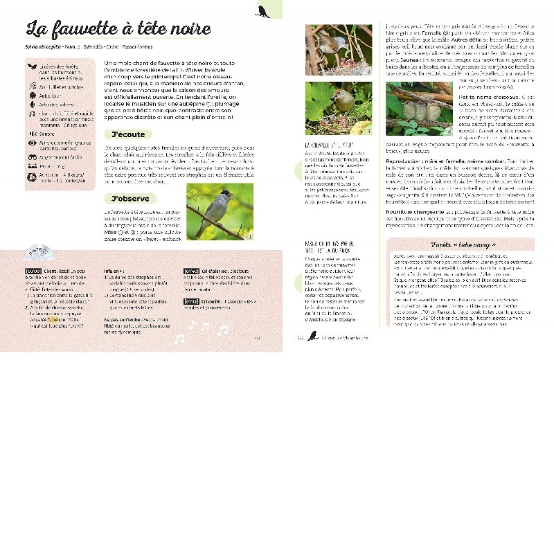 Ecoutons la forêt ! Identifier plus de 60 animaux (oiseaux, grenouilles, mammifères, insectes...)