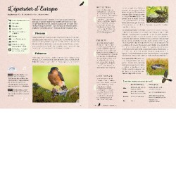 Ecoutons la forêt ! Identifier plus de 60 animaux (oiseaux, grenouilles, mammifères, insectes...) Ecoutons la forêt ! Identifier plus de 60 animaux (oiseaux, grenouilles, mammifères, insectes...)