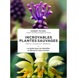 Incroyables plantes sauvages - Trèfle, coquelicot, benoîte... Le guide pour les identifier et découvrir leurs secrets
