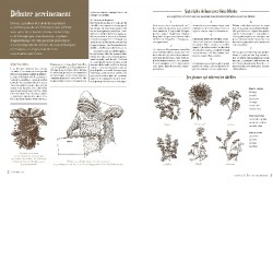 Le guide Larousse de l'autosuffisance - Vivre pleinement de presque rien Le guide Larousse de l'autosuffisance - Vivre pleinement de presque rien