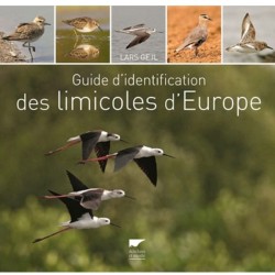 Guide d'identification des limicoles d'Europe