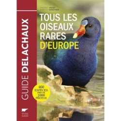 Tous les oiseaux rares d'Europe