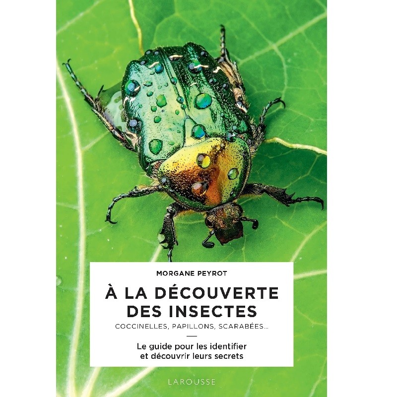 A la découverte des insectes - Coccinelles, papillons, scarabées... - Le guide pour les identifier et découvrir leurs secrets