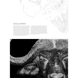 La sixième extinction - Le règne animal en péril La sixième extinction - Le règne animal en péril