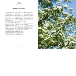 Les bienfaits des arbres - Reconnaître, récolter, cuisiner et se soigner Les bienfaits des arbres - Reconnaître, récolter, cuisiner et se soigner