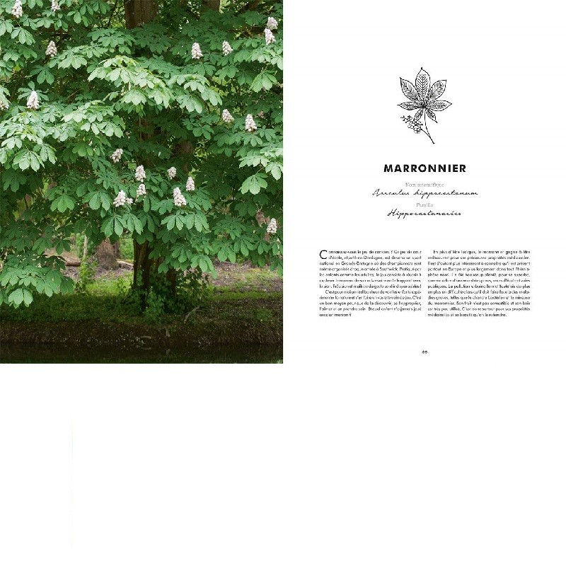 Les bienfaits des arbres - Reconnaître, récolter, cuisiner et se soigner Les bienfaits des arbres - Reconnaître, récolter, cuisiner et se soigner