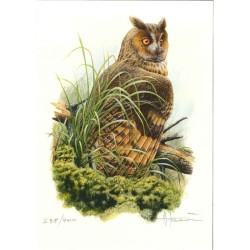 Tirage limité Hibou moyen-duc "Les yeux de braise" - Tableau d'André Buzin - A4