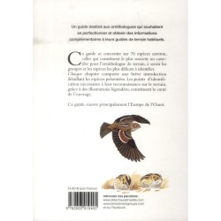 Identifier les Oiseaux - Eviter les pièges d'identification les plus complexes Identifier les Oiseaux - Eviter les pièges d'identification les plus complexes