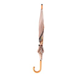 Parapluie Oiseaux d'hiver