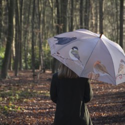 Parapluie Oiseaux d'hiver