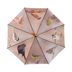 Parapluie Oiseaux d'hiver