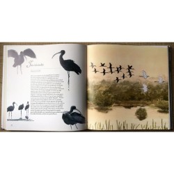 Les oiseaux de Paul Géroudet - Ses plus beaux textes illustrés par Jean Chevallier Les oiseaux de Paul Géroudet - Ses plus beaux textes illustrés par Jean Chevallier