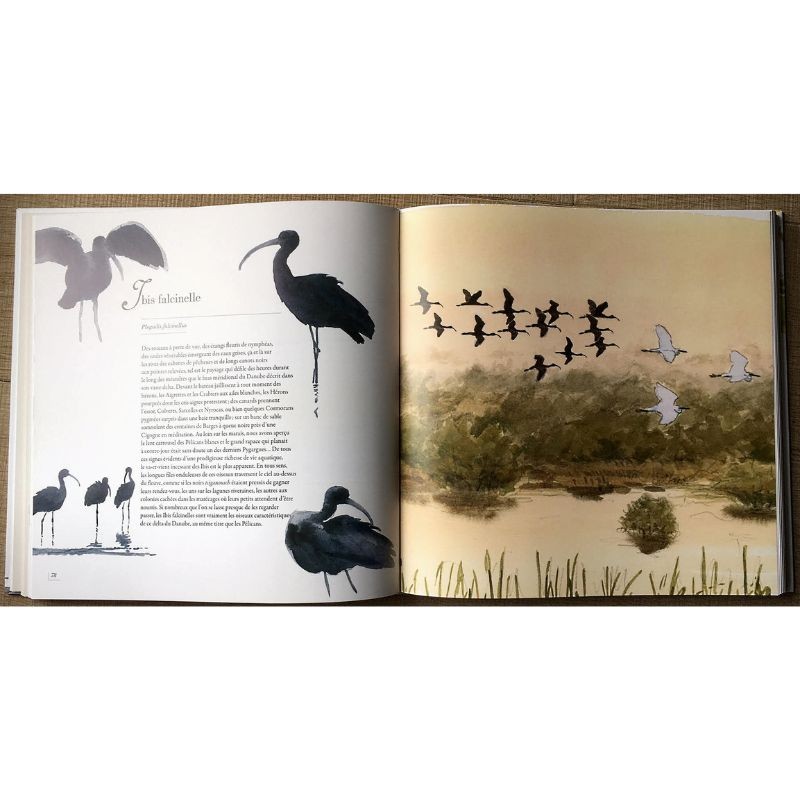 Les oiseaux de Paul Géroudet - Ses plus beaux textes illustrés par Jean Chevallier