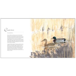 Les oiseaux de Paul Géroudet - Ses plus beaux textes illustrés par Jean Chevallier Les oiseaux de Paul Géroudet - Ses plus beaux textes illustrés par Jean Chevallier