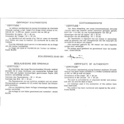 Tirage limité jeunes hirondelles de cheminée "Certitude" - Tableau d'André Buzin - 35x45 cm
