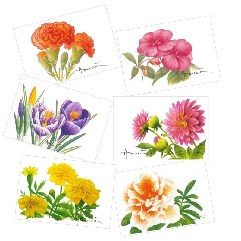 Fleurs de culture - Série 2 de 6 cartes - André Buzin