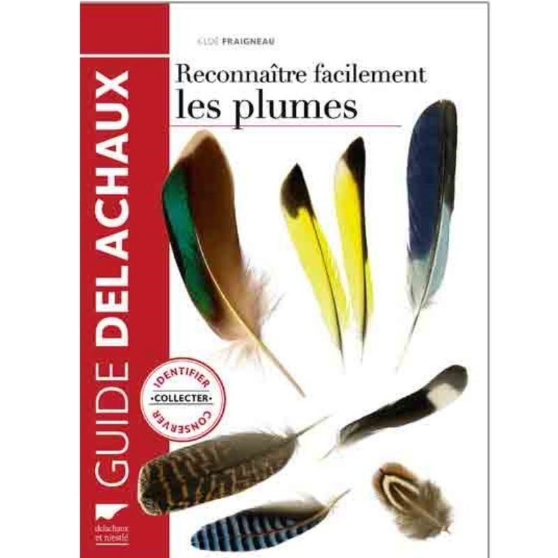 Recharge Plumeau - Plumes & Rubans - O'Bout de la Plume - France