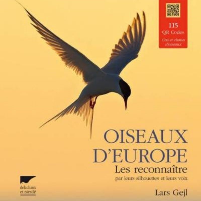 Oiseaux d'Europe - Les reconnaître par leurs silhouettes et leurs voix
