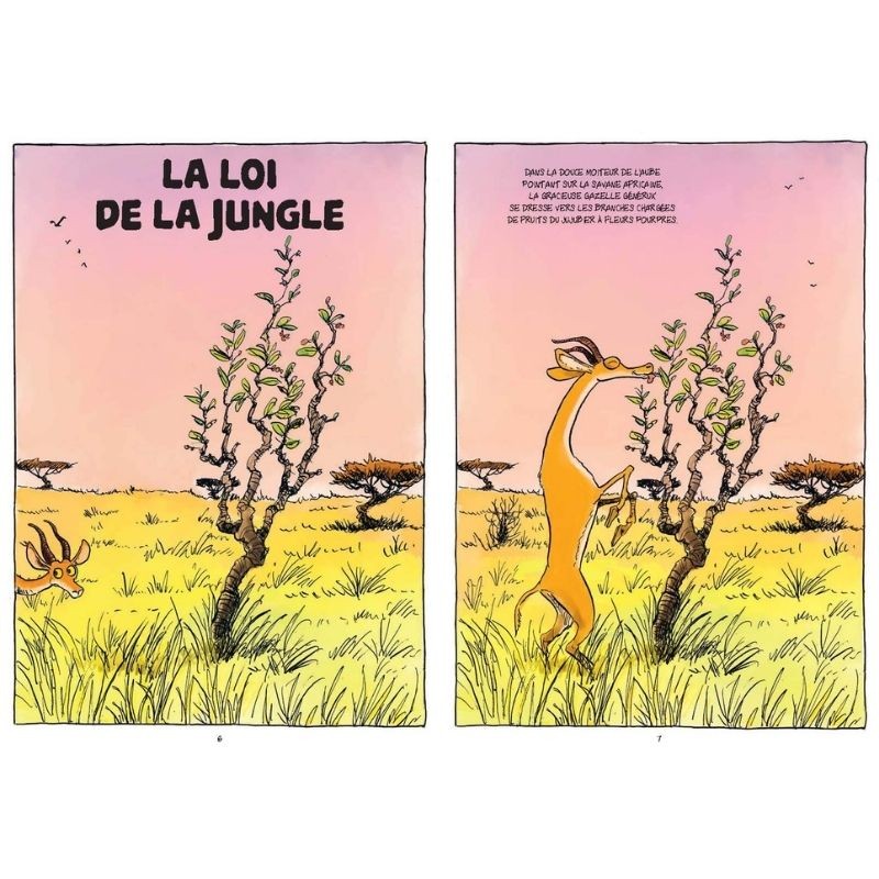 Je t'aide, moi non plus - Solidarités et alliances dans le monde animal