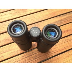 Jumelles LRBPO Robin 8x42