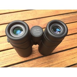 Jumelles LRBPO Robin 10x42