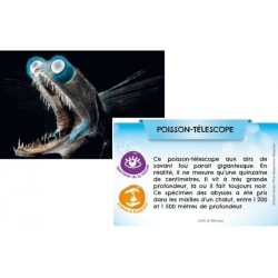Bioviva Planète - Mers et Océans Bioviva Planète - Mers et Océans